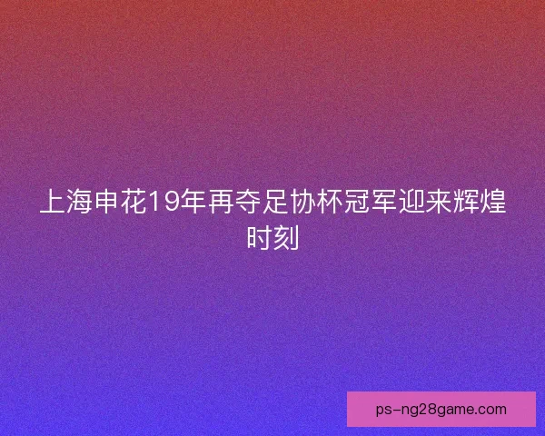 上海申花19年再夺足协杯冠军迎来辉煌时刻
